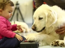 asilo nido montessori varese